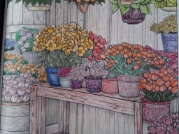 whatsapp bild 2025-10-19 um 11.42.16_d1ef130c